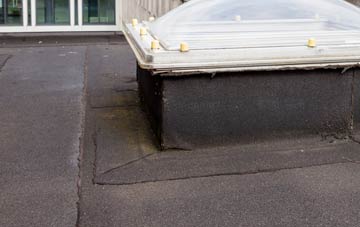 disadvantages of Norton Ferris flat roofs
