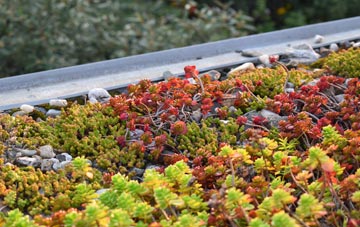 the cost of Norton Ferris green roof installation