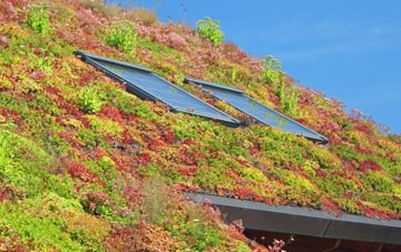 Norton Ferris living roof systems