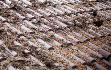 Norton Ferris roof cleaning companies