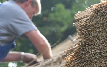 professional Norton Ferris thatchers