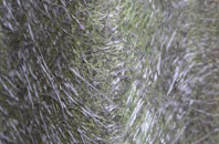 Norton Ferris fibreglass roof work