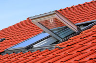 Norton Ferris roof window