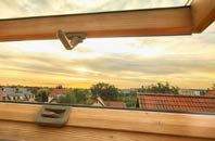 rated Norton Ferris roof window companies